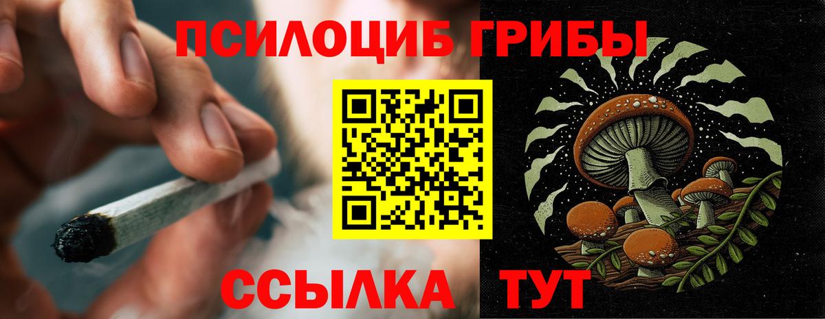Надым  Псилоцибиновые грибы мухоморы  Вход с VPN 